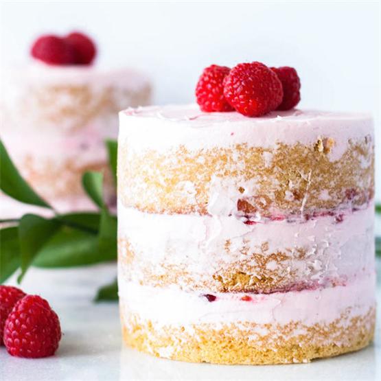 Pretty Pink Raspberry Vanilla Mini Cakes
