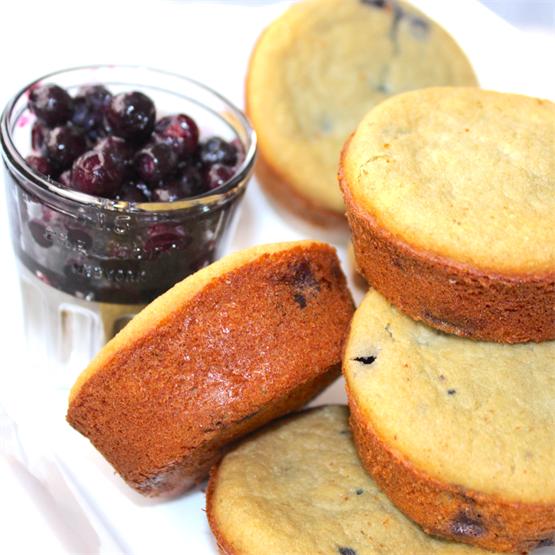 Blueberry Oat Coconut Gluten Free Protein Muffins