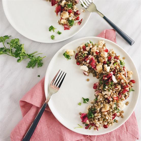 Pomegranate Feta Lentil and Barley Salad