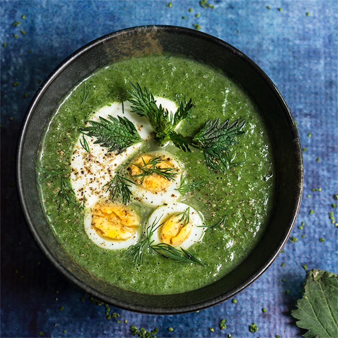 Nettle and green garlic soup