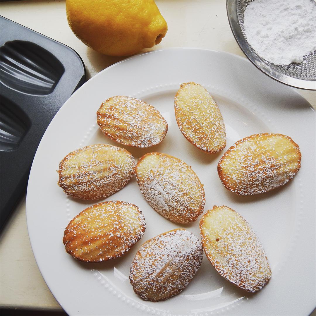 Learn to make classic French madeleines!
