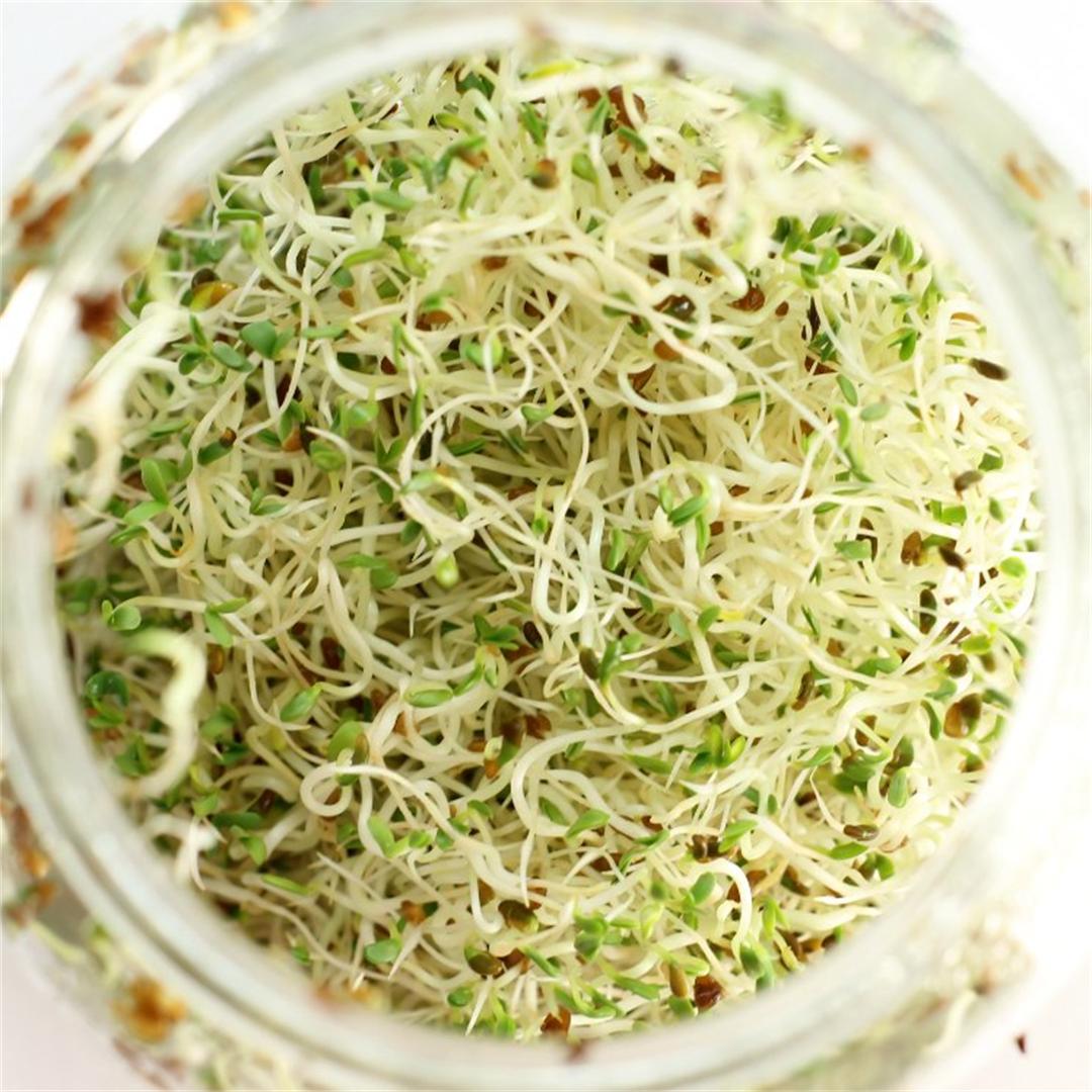 Guide to growing sprouts & how to use them