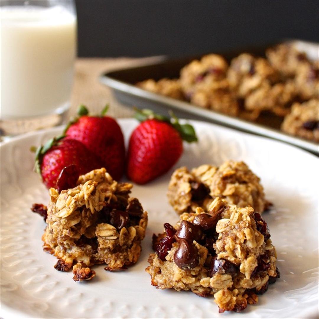 Cranberry and Dark Chocolate Healthy Snack Cookies