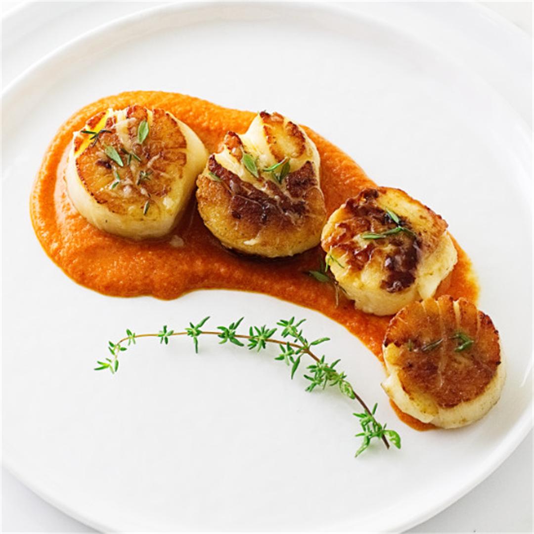 seared scallops with romesco sauce