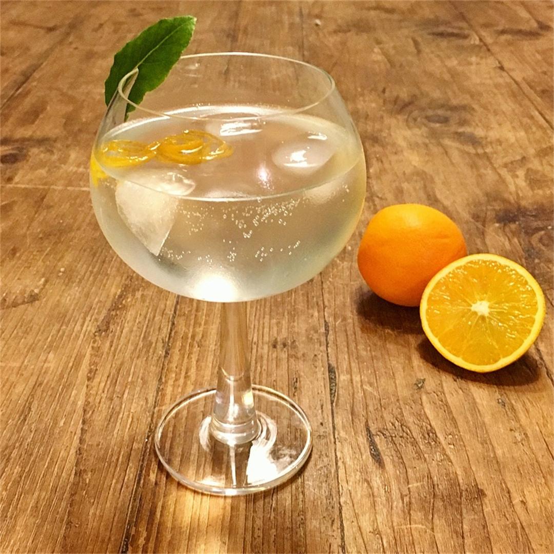 Orange and Bay Infused Gin