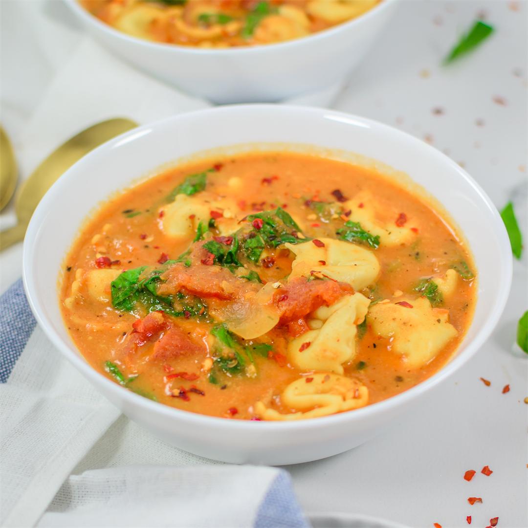 Zippy Tomato and Tortellini Soup