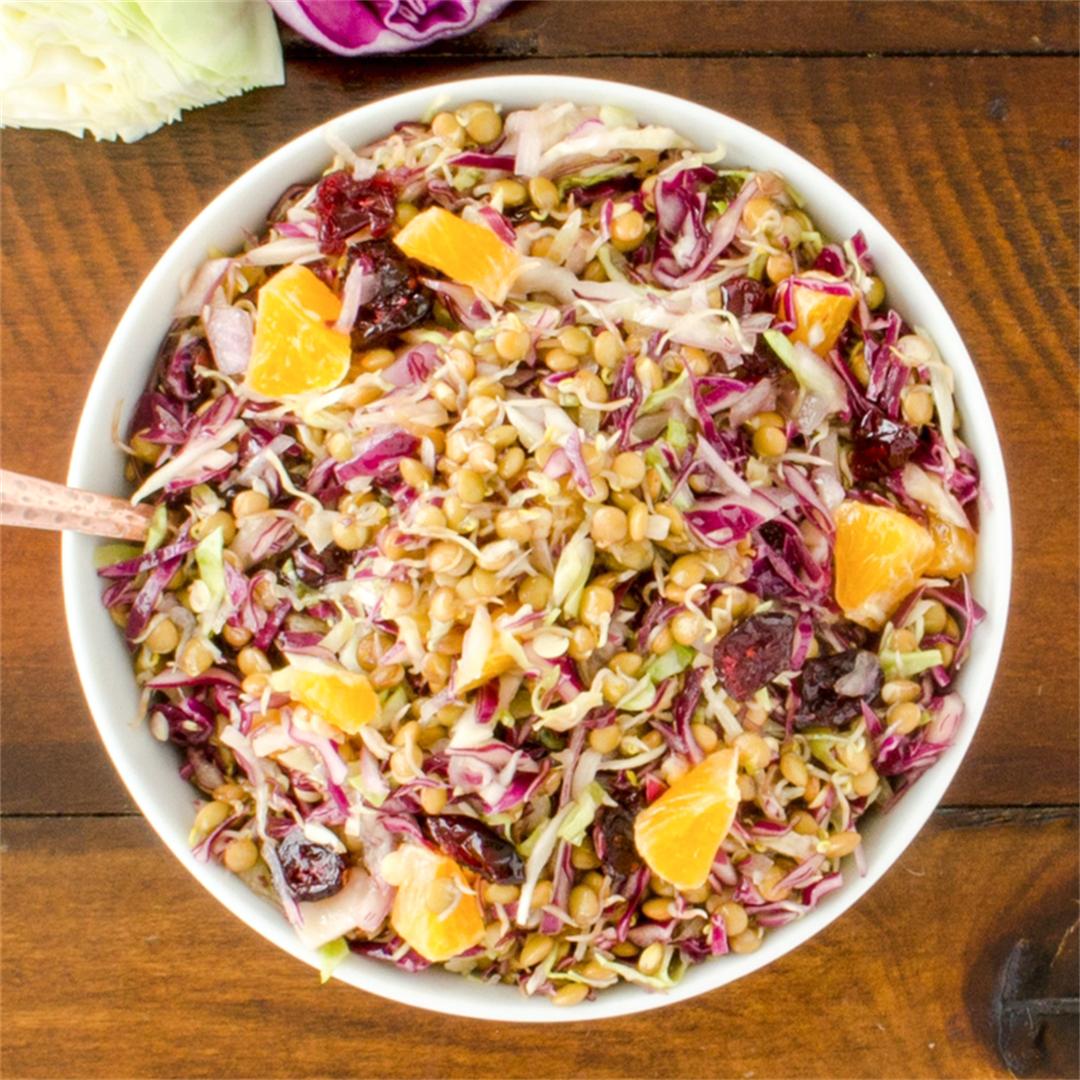 Sprouted Lentil and Cabbage Salad