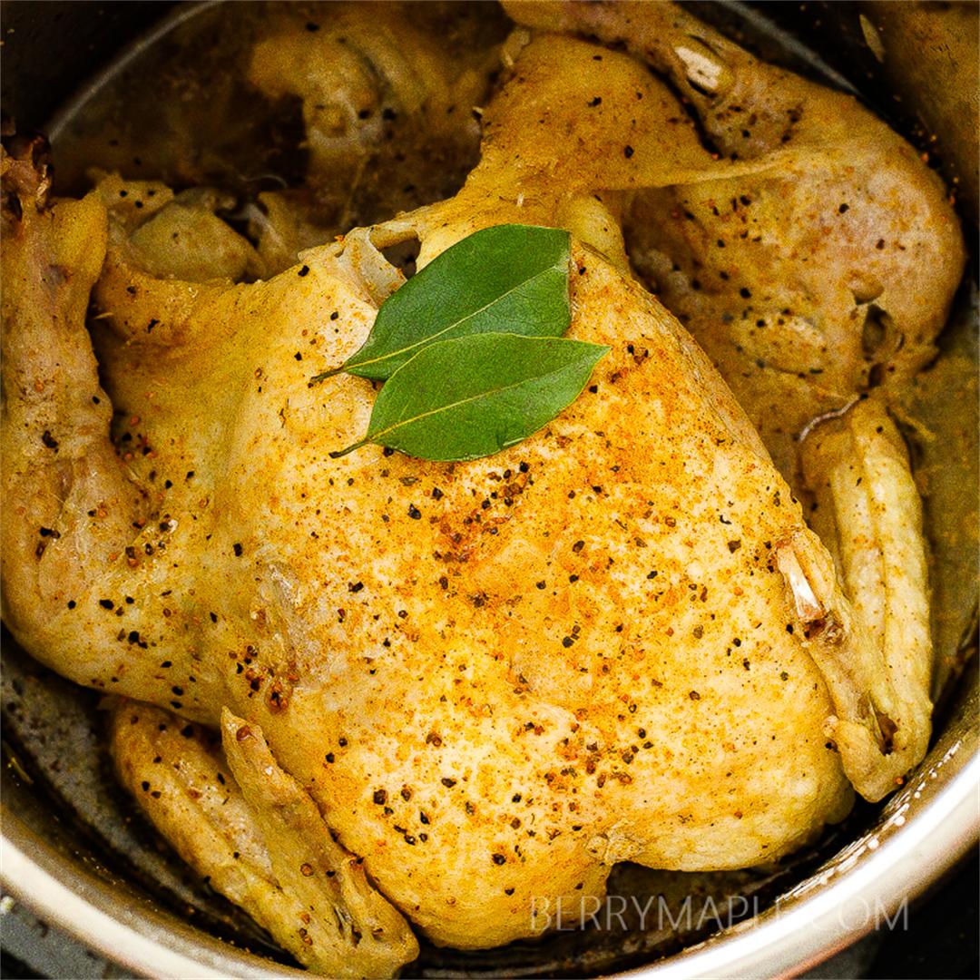Whole chicken in instant pot