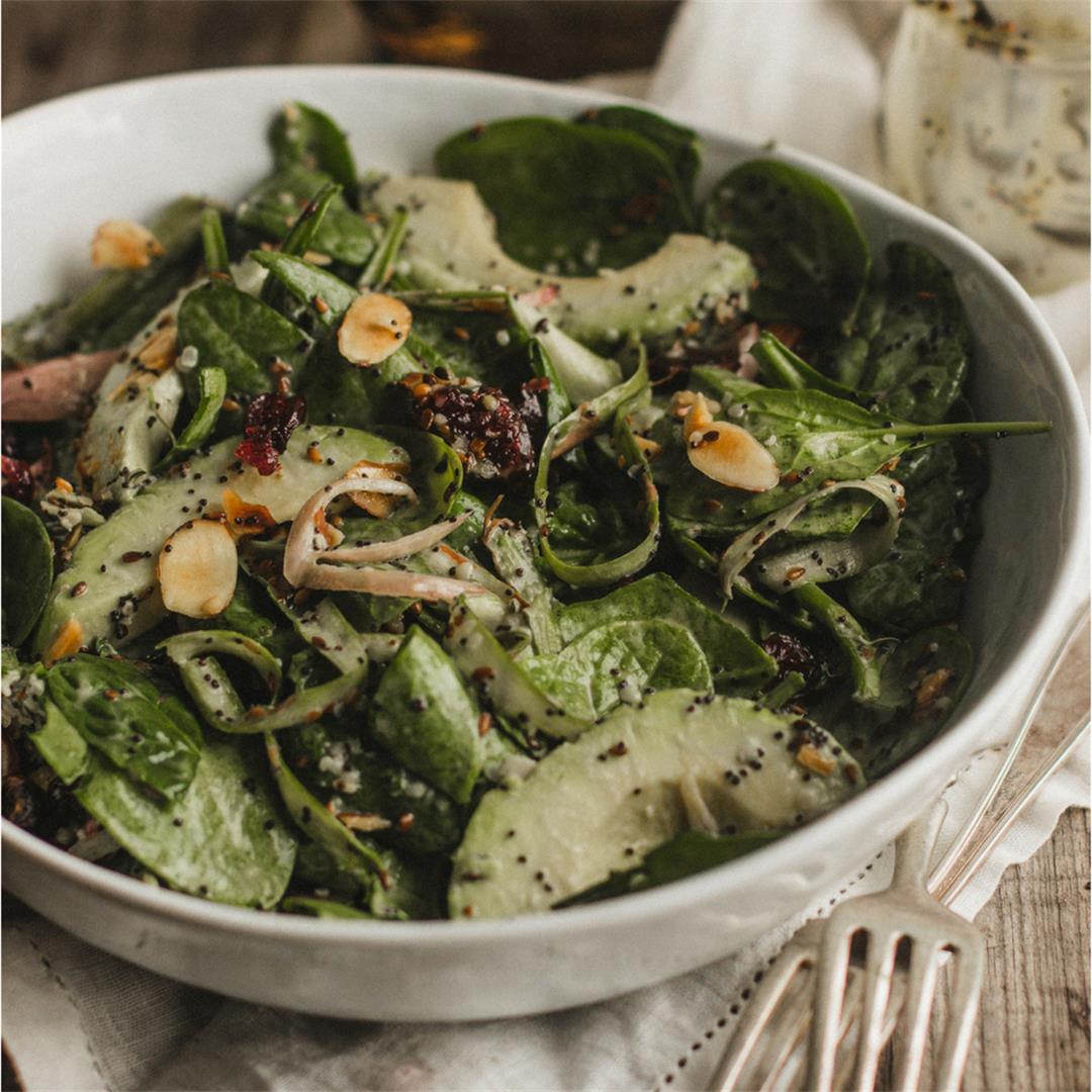 Between Seasons Cranberry Spinach Salad