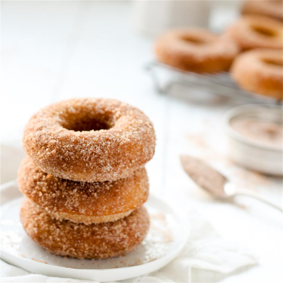 Baked Snickerdoodle Donuts- full of cinnamon-sugar goodness!