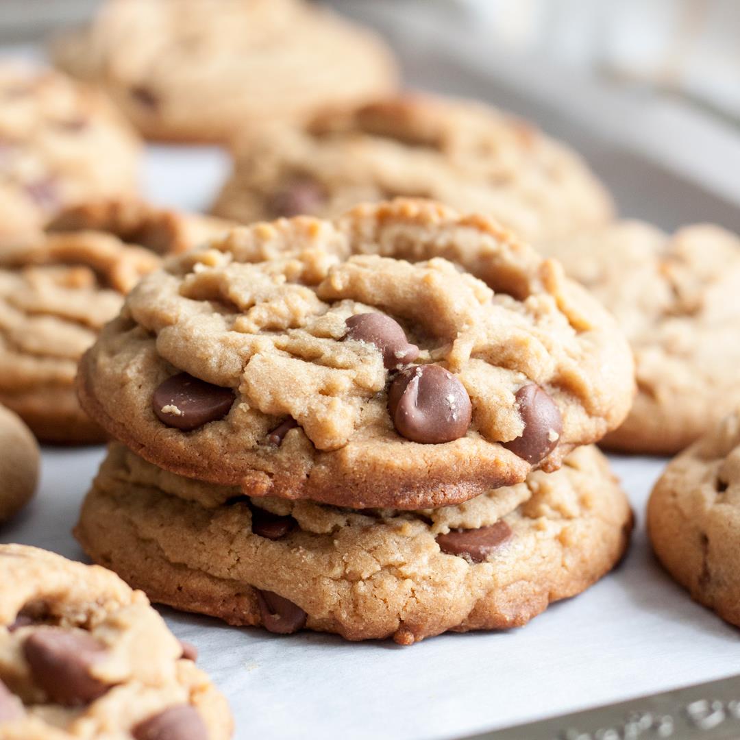 Brown Butter Peanut Butter Chocolate Chip Cookies