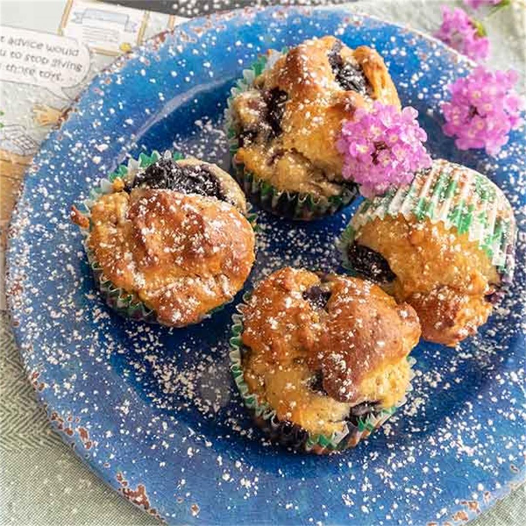 Gluten-Free Blueberry Walnut Eggnog Muffins