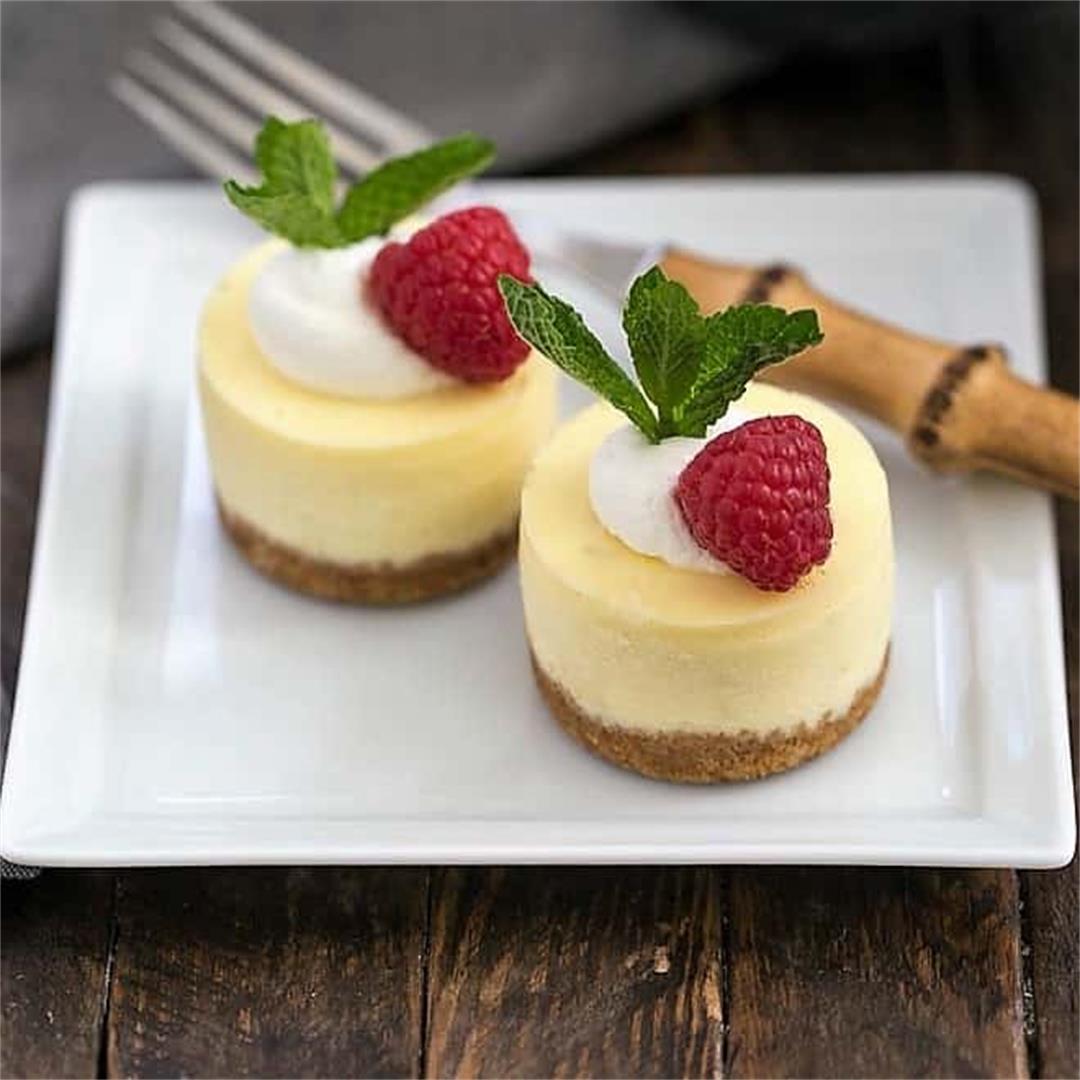 Mini Margarita Cheesecakes