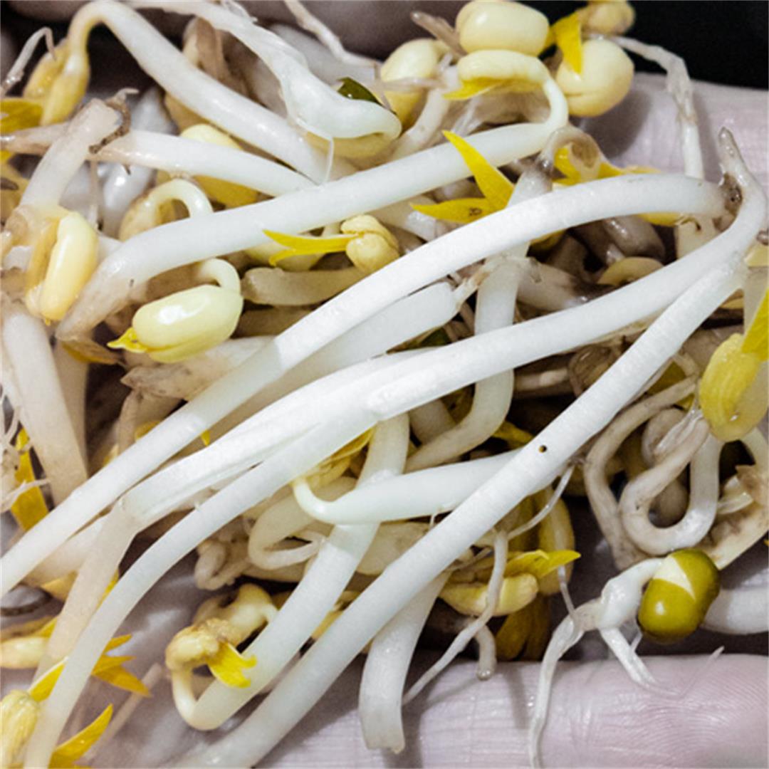 How to sprout mung beans
