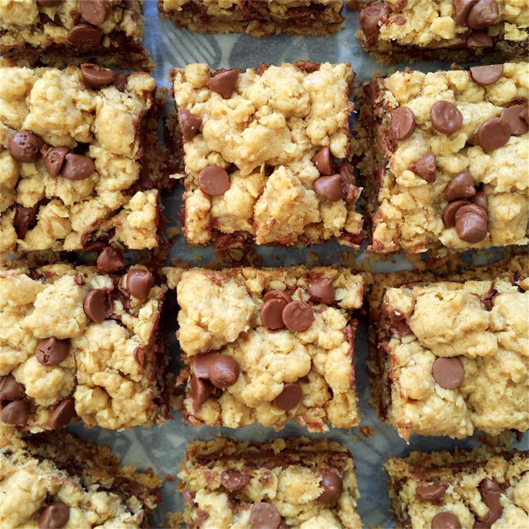 Chocolate Chip Nutella Oat Bars
