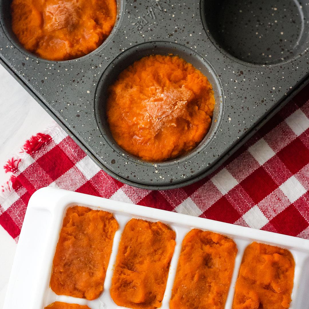 How to Freeze Canned Pumpkin Puree