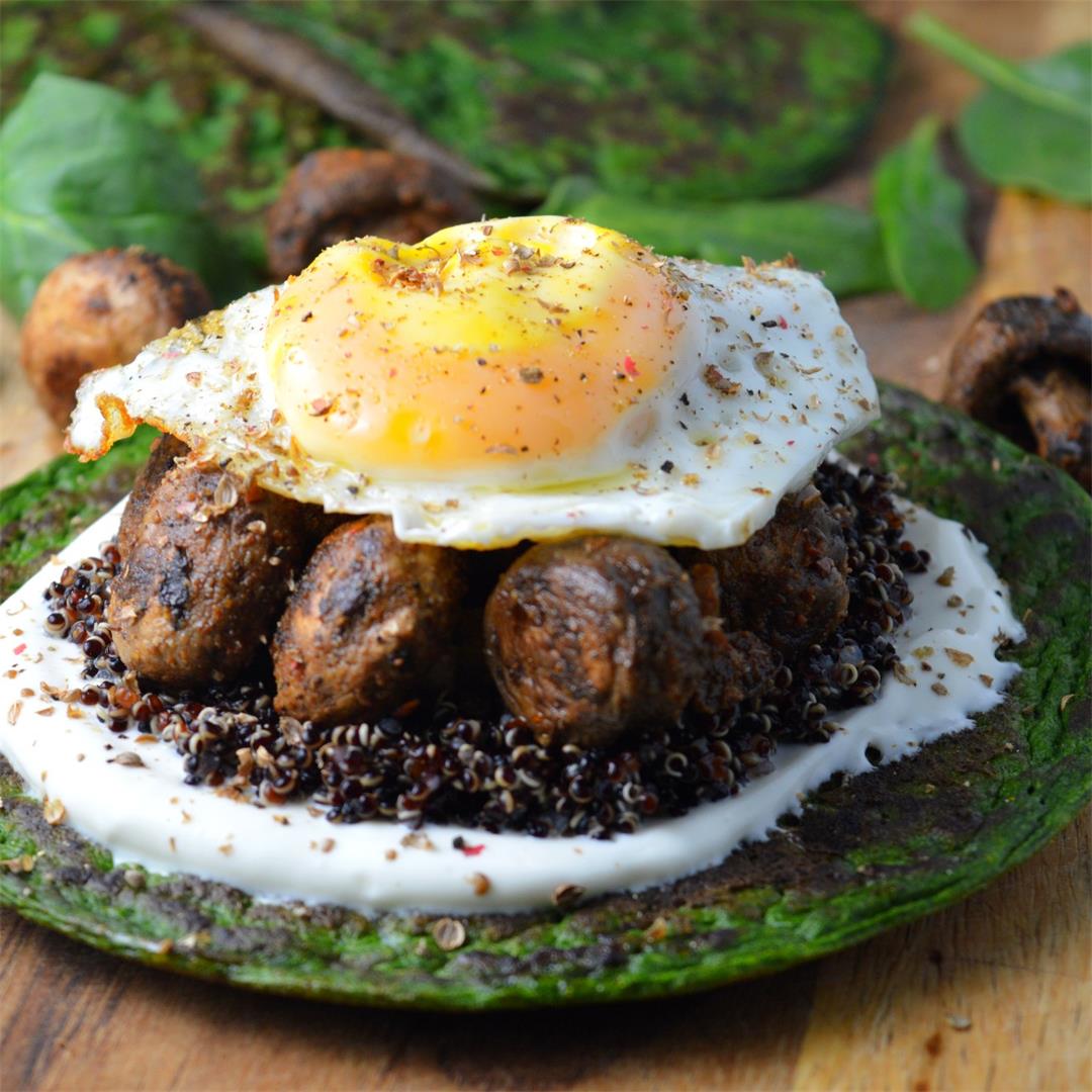 Spinach Pancakes with Quinoa, Harissa Mushrooms & Yogurt — Tast