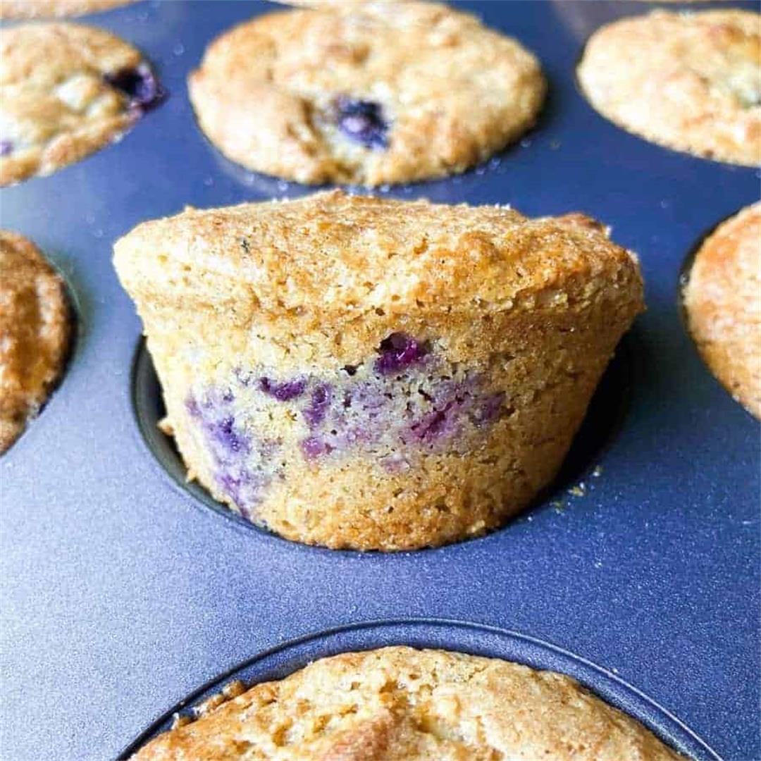 Blueberry Oat Protein Muffins – Sugary Logic