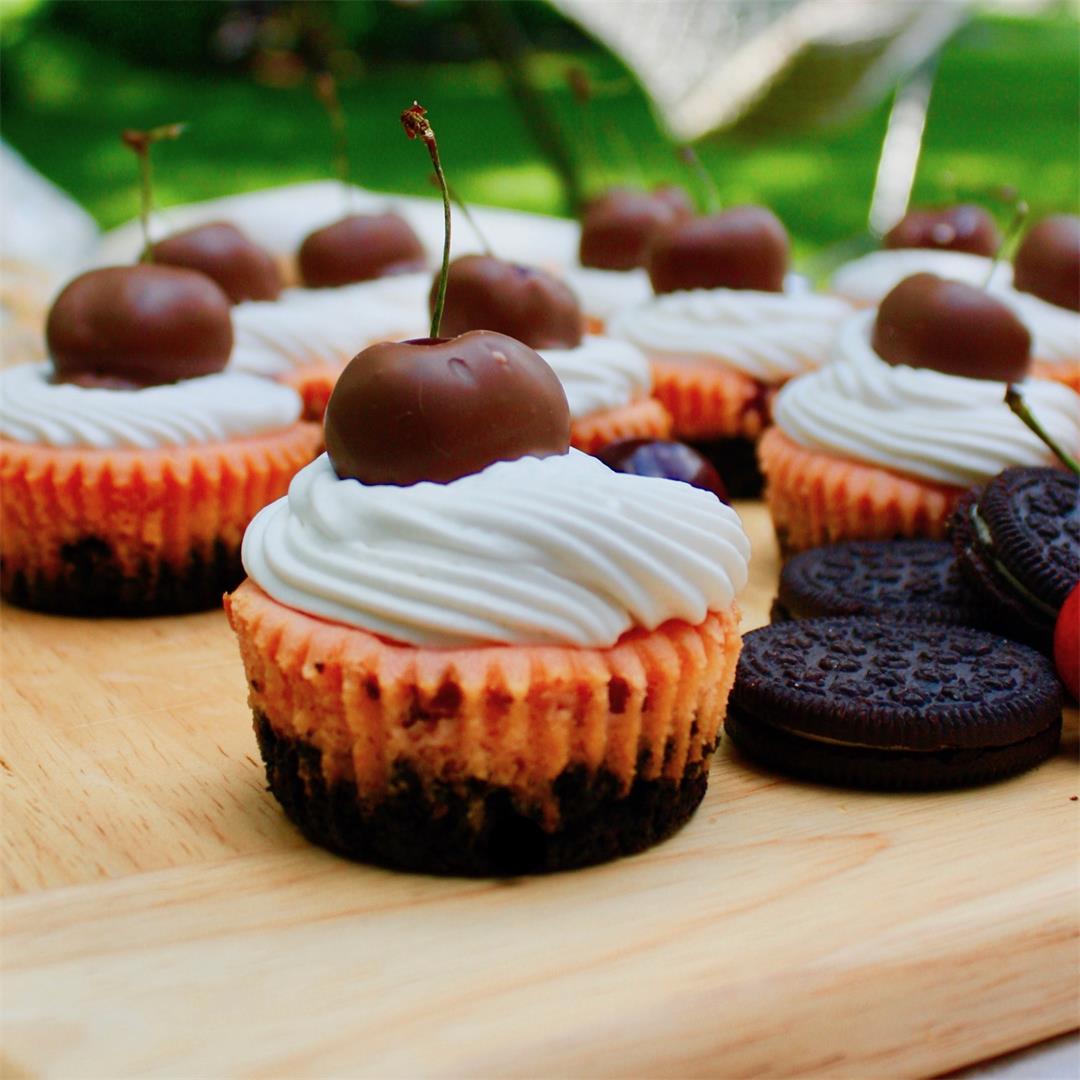 Easy Black Forest Mini Cheesecakes!