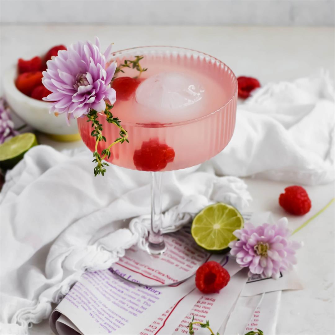 Raspberry Hibiscus Cocktail