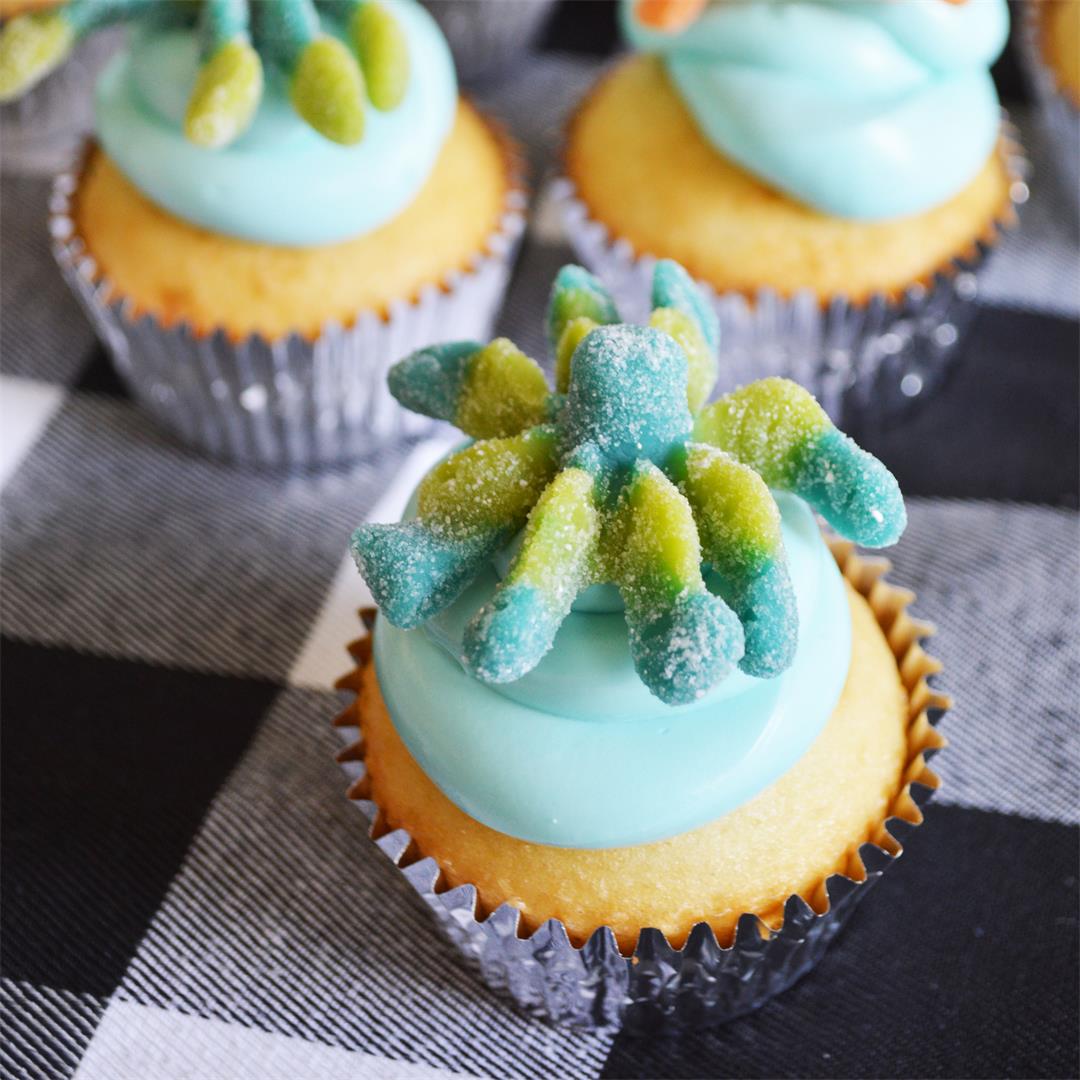 Octopus cupcakes .