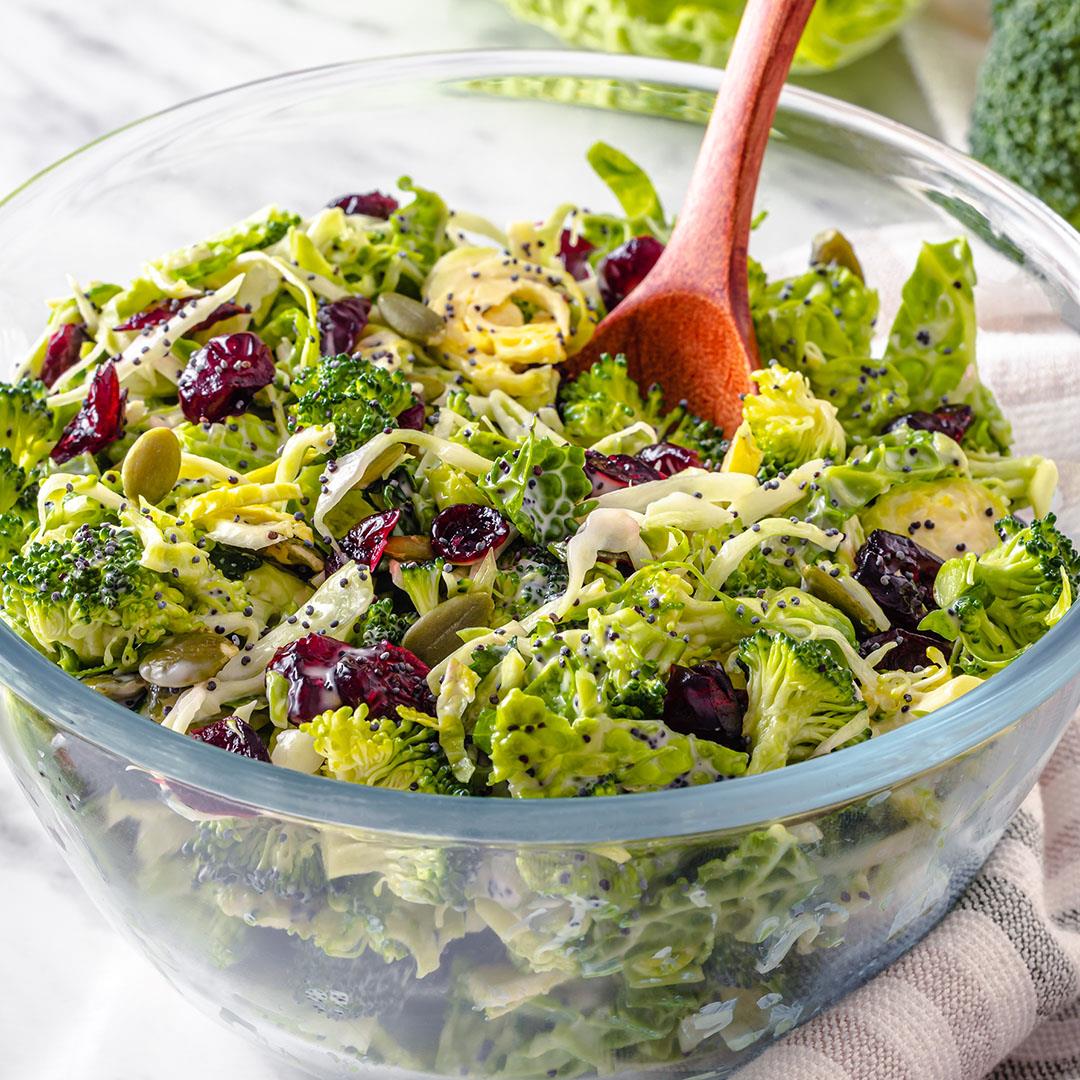 Broccoli Salad with Cranberries and Poppy Seed Dressing