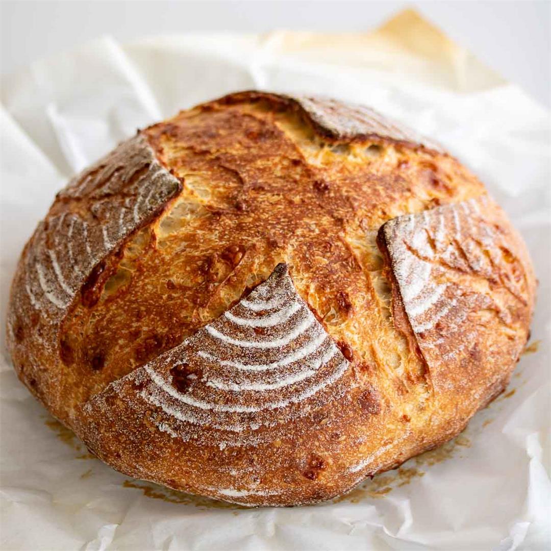 Parmesan Sourdough Artisan Bread Boule – Milk and Pop