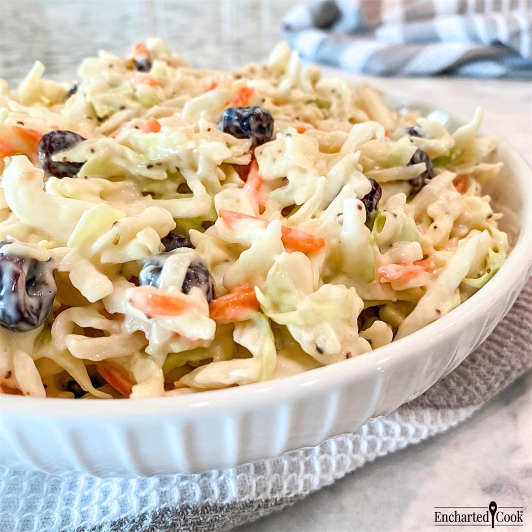 American Coleslaw with Dried Cranberries