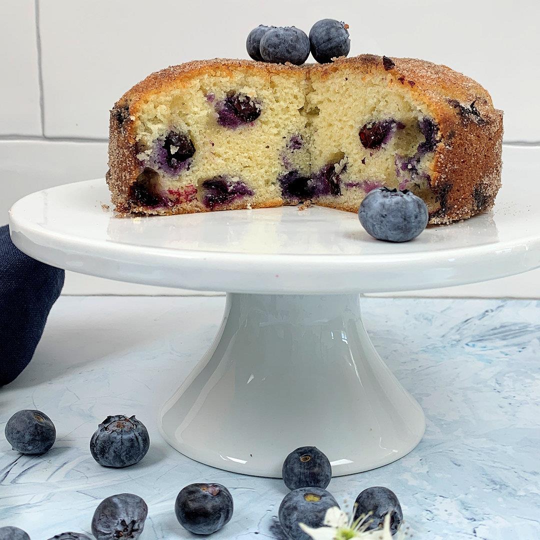 Blueberry Muffin Cake with Cinnamon Sugar – A Gourmet Food Blog