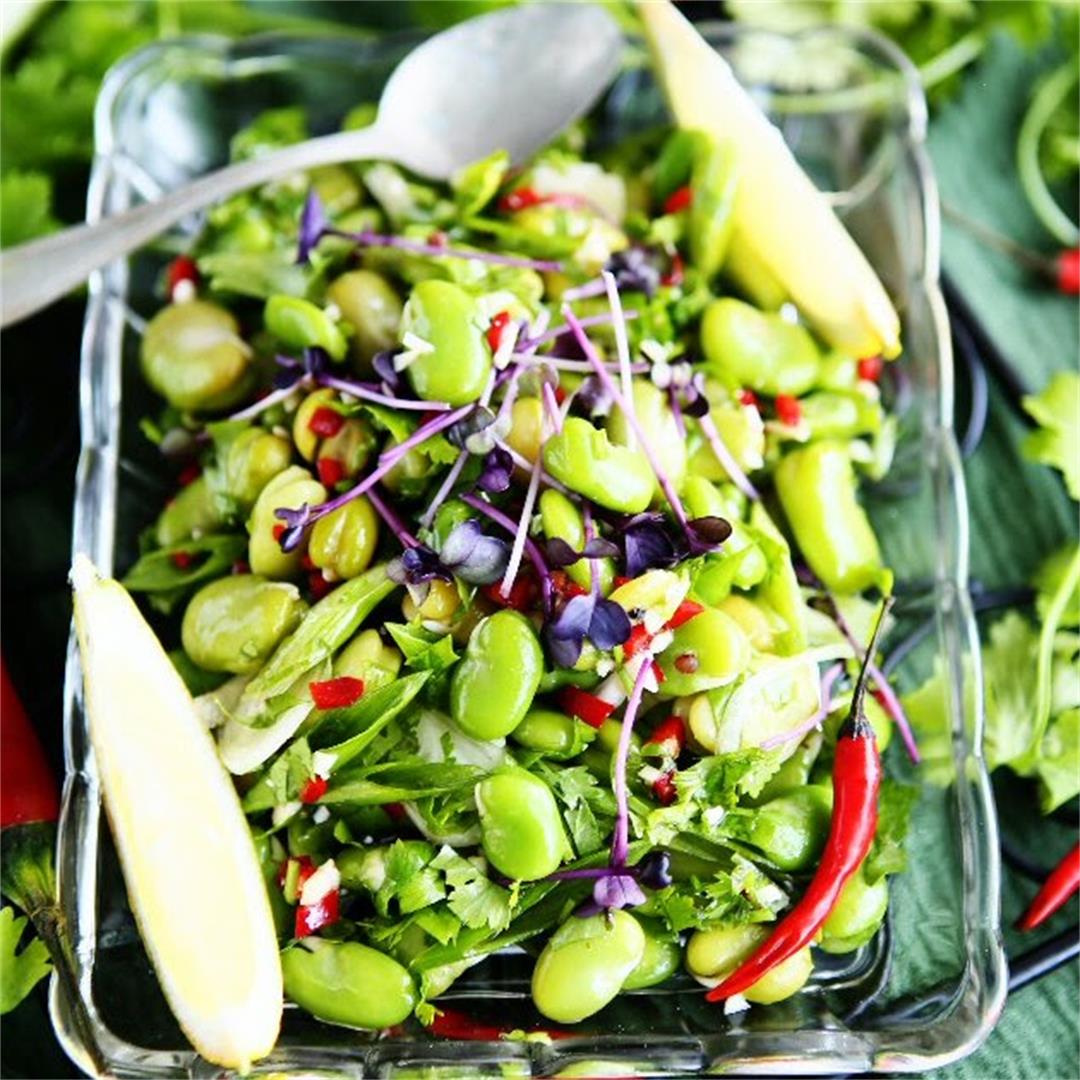 Broad Beans, Spring Onions and Cilantro Salad
