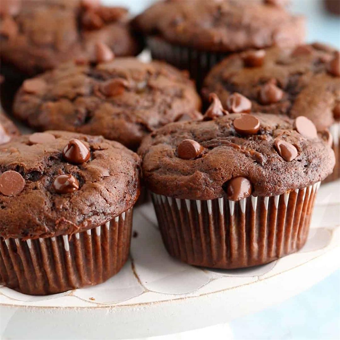 Chocolate Zucchini Muffins