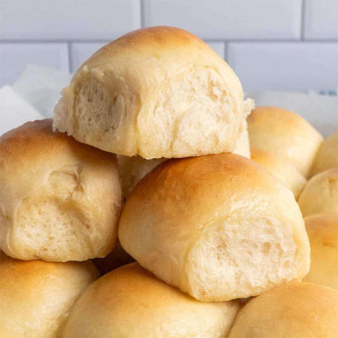 Easy Homemade Dinner Rolls Recipe