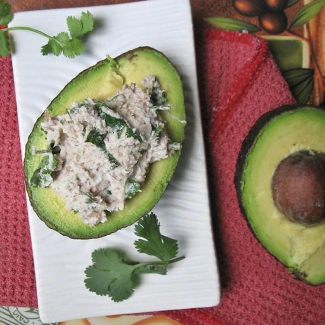 Avocado with Sardine Ricotta Cheese