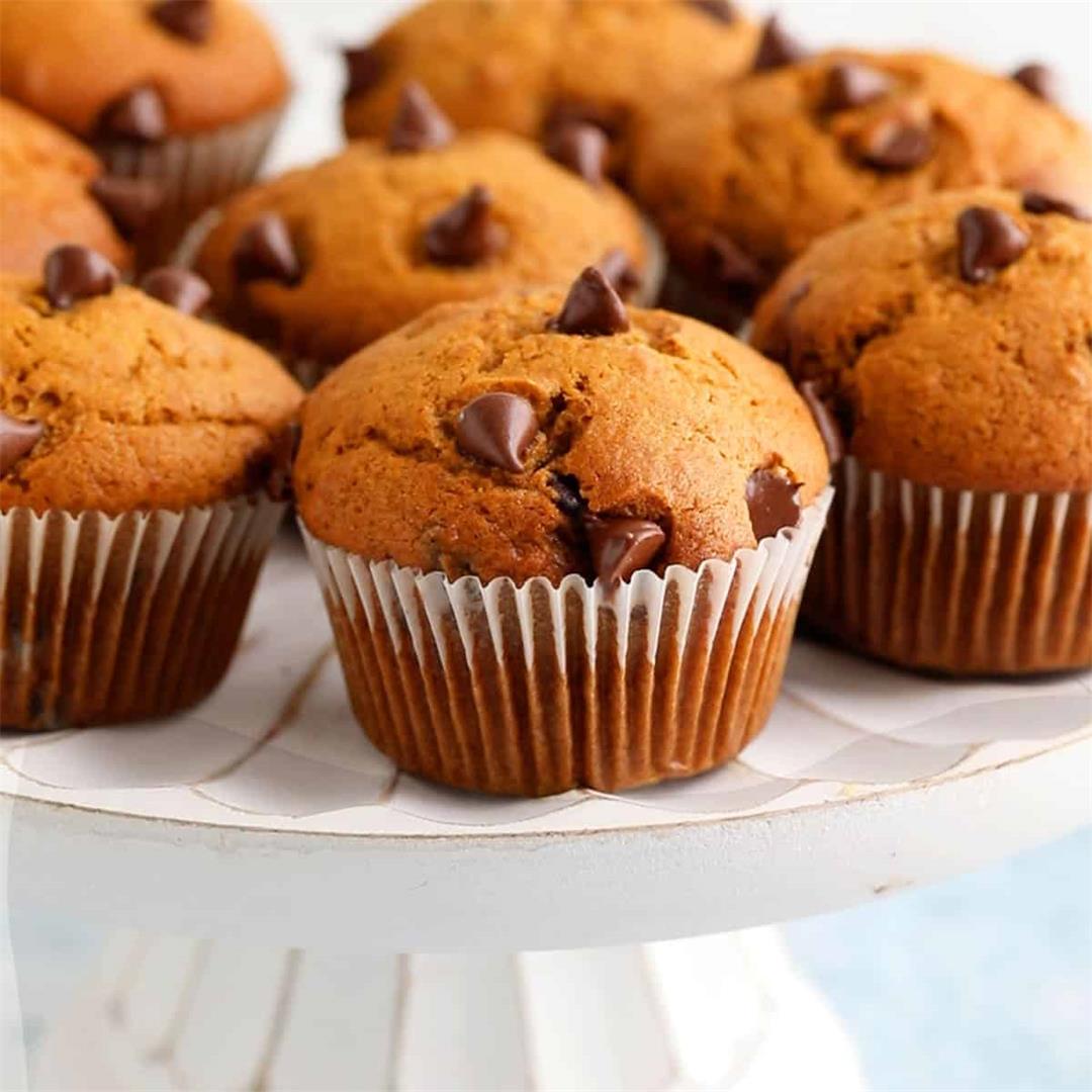 Pumpkin Chocolate Chip Muffins