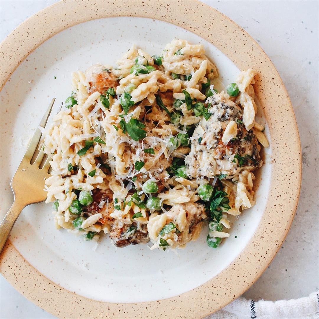 Creamy Boursin Orzo Pasta with Chicken