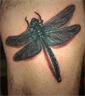 Dragonfly. Placement: thigh