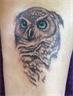 Owl - Placement: Back of thigh