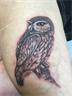Owl - Placement: Thigh side, above knee