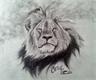 Cecil - a memorial portrait of a beautiful soul that was murdered.