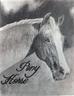 Pony Horse - a memorial portrait